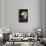 Anisetta Meletti-null-Mounted Premium Photographic Print displayed on a wall