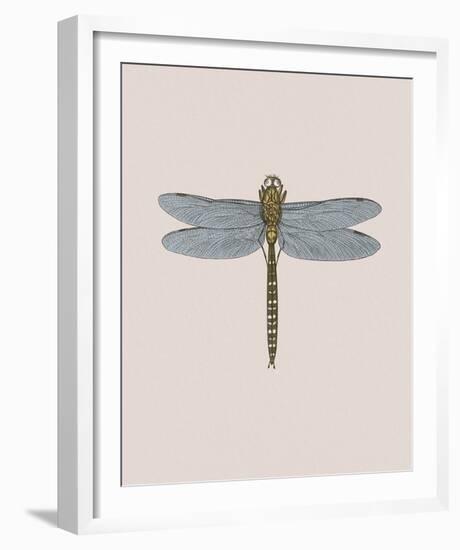 Anisoptera-Maria Mendez-Framed Giclee Print