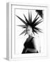 White Frame