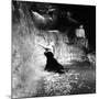 Anita Ekberg, La Dolce Vita, Federico Fellini, 1960 (b/w photo)-null-Mounted Photo