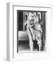 Anita Ekberg - La Dolce vita-null-Framed Photo