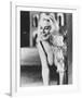 Anita Ekberg - La Dolce vita-null-Framed Photo