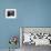 Anita Ekberg - La dolce vita-null-Framed Photo displayed on a wall