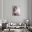 Anita Ekberg (photo)-null-Photo displayed on a wall