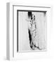 Anita Ekberg-null-Framed Photo