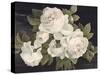 Anitque Roses on Black-Danhui Nai-Stretched Canvas