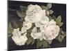 Anitque Roses on Black-Danhui Nai-Mounted Art Print