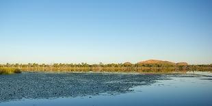 Beehive Domes at Purnululu (Bungle Bungles), Western Australia-Anja Hennern-Photographic Print