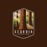 Illustration of the Sequoia National Park Emblem Icon Patch-anjar suwarno-Stretched Canvas