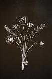 Flowers on Blackboard-Anjo Kan-Photographic Print
