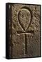 Ankh or Key of Life. Relief-null-Framed Stretched Canvas