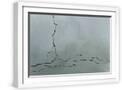 White Frame