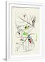 Gramercy White