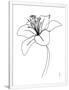 Gramercy White