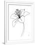 Gramercy White