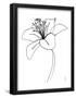 Essential Black