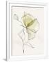 Gramercy White