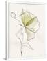 Gramercy White