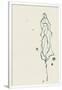 Gramercy White
