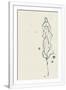 Gramercy White