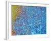 Ankle Deep-MusicDreamerArt-Framed Giclee Print