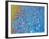 Ankle Deep-MusicDreamerArt-Framed Giclee Print