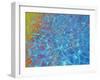 Ankle Deep-MusicDreamerArt-Framed Giclee Print