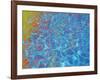 Ankle Deep-MusicDreamerArt-Framed Giclee Print