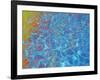 Ankle Deep-MusicDreamerArt-Framed Giclee Print