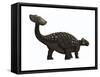 Ankylosaurus, a Heavily Armored Dinosaur from the Cretaceous Period-null-Framed Stretched Canvas