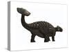 Ankylosaurus, a Heavily Armored Dinosaur from the Cretaceous Period-null-Stretched Canvas