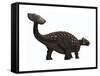 Ankylosaurus, a Heavily Armored Dinosaur from the Cretaceous Period-null-Framed Stretched Canvas