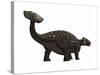 Ankylosaurus, a Heavily Armored Dinosaur from the Cretaceous Period-null-Stretched Canvas