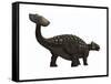 Ankylosaurus, a Heavily Armored Dinosaur from the Cretaceous Period-null-Framed Stretched Canvas