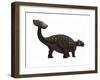 Ankylosaurus, a Heavily Armored Dinosaur from the Cretaceous Period-null-Framed Art Print