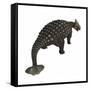 Ankylosaurus, an Armored Dinosaur from the Cretaceous Period-null-Framed Stretched Canvas