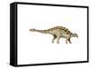 Ankylosaurus Armored Dinosaur-null-Framed Stretched Canvas