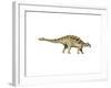 Ankylosaurus Armored Dinosaur-null-Framed Art Print