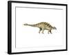 Ankylosaurus Armored Dinosaur-null-Framed Art Print