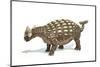 Ankylosaurus Dinosaur, Artwork-null-Mounted Photographic Print