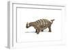 Ankylosaurus Dinosaur on White Background-null-Framed Art Print