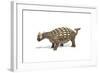 Ankylosaurus Dinosaur on White Background-null-Framed Art Print