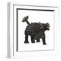 Ankylosaurus Dinosaur-Stocktrek Images-Framed Art Print