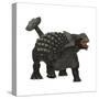 Ankylosaurus Dinosaur-Stocktrek Images-Stretched Canvas