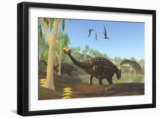 Ankylosaurus Dinosaurs Drink from a Swamp Along with an Argentinosaurus-null-Framed Art Print