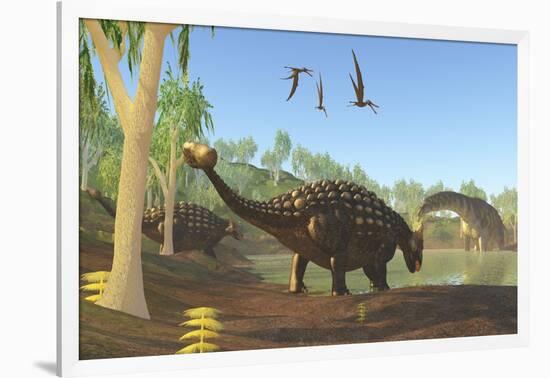 Ankylosaurus Dinosaurs Drink from a Swamp Along with an Argentinosaurus-null-Framed Art Print