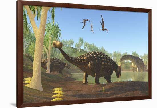 Ankylosaurus Dinosaurs Drink from a Swamp Along with an Argentinosaurus-null-Framed Art Print
