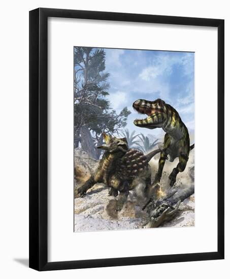 Ankylosaurus Hits Tyrannosaurus Rex with it's Clubbed Tail in Self-Defense-Stocktrek Images-Framed Art Print