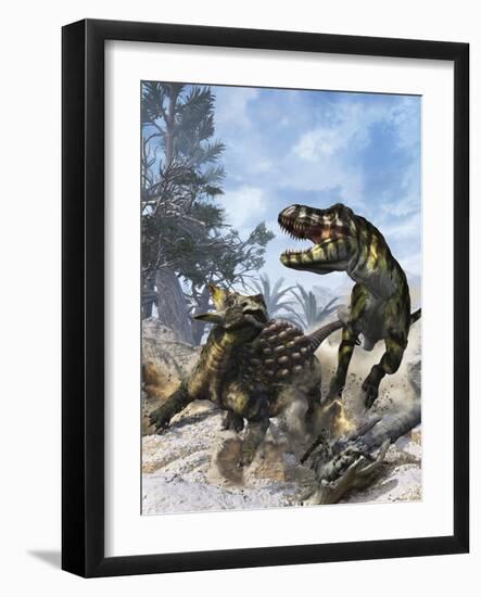 Ankylosaurus Hits Tyrannosaurus Rex with it's Clubbed Tail in Self-Defense-Stocktrek Images-Framed Art Print