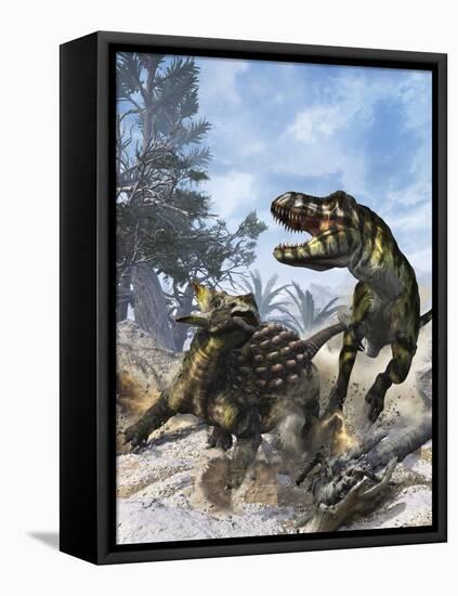 Ankylosaurus Hits Tyrannosaurus Rex with it's Clubbed Tail in Self-Defense-Stocktrek Images-Framed Stretched Canvas
